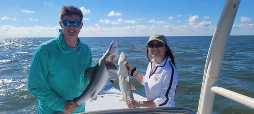 3 Hour Shark Fishing
