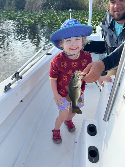 Big Bass Dreams on Lake Okeechobee