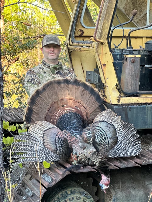 Turkey Hunt