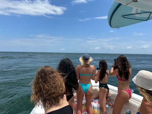 3 HR Family Fun/Adult Party Cruise