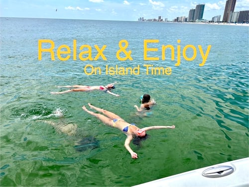 1.5 Hour sighting Dolphins Criuse