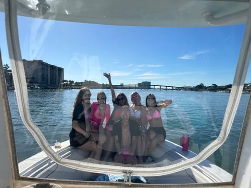 1.5 Hour sighting Dolphins Criuse