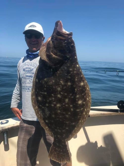 Half Day Trip: Inshore