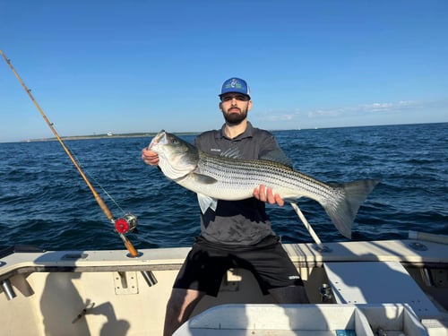 Half Day Trip: Inshore