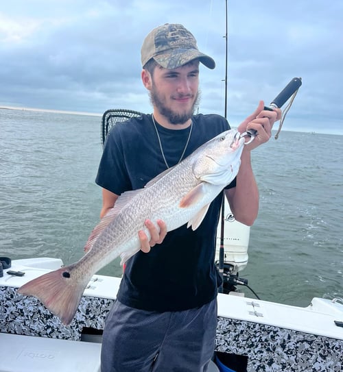 4 HR Inshore/Harbor/Jetties Fishing PM