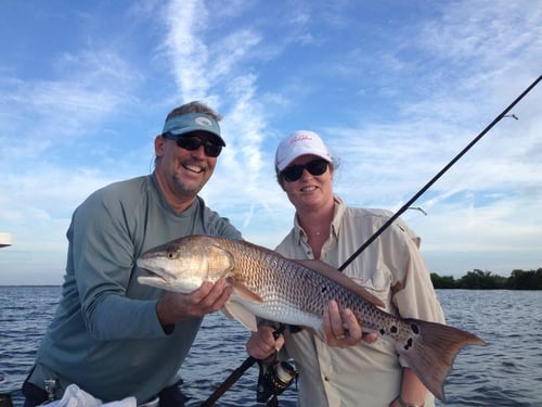 Redfish Fishing in Titusville, Florida