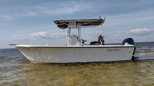 6 Hour Nearshore Bottom Fishing