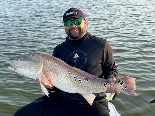 Redfish Fishing in Titusville, Florida