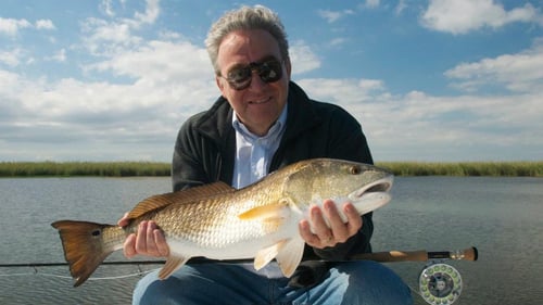 1/2 Day or Full Day Skiff