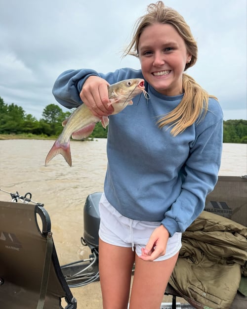 North Mississippi Catfishing Adventure
