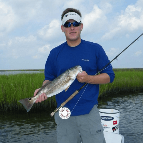 Full Day Bay Boat