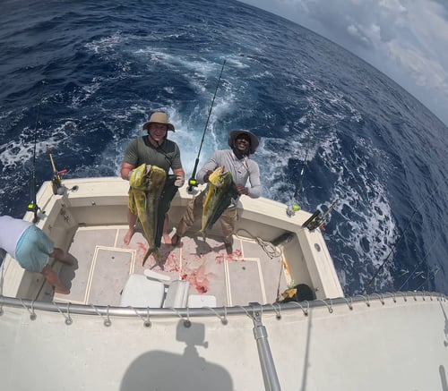 The Best Fishing Charter in Cancun. +380 Excellent Reviews