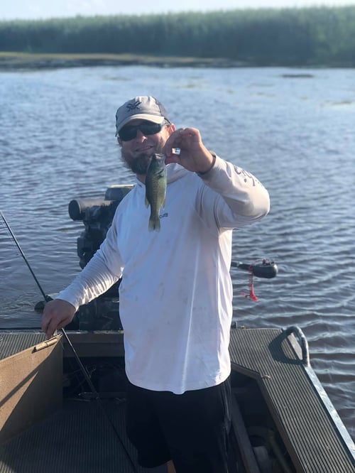 Louisiana Bass Bash