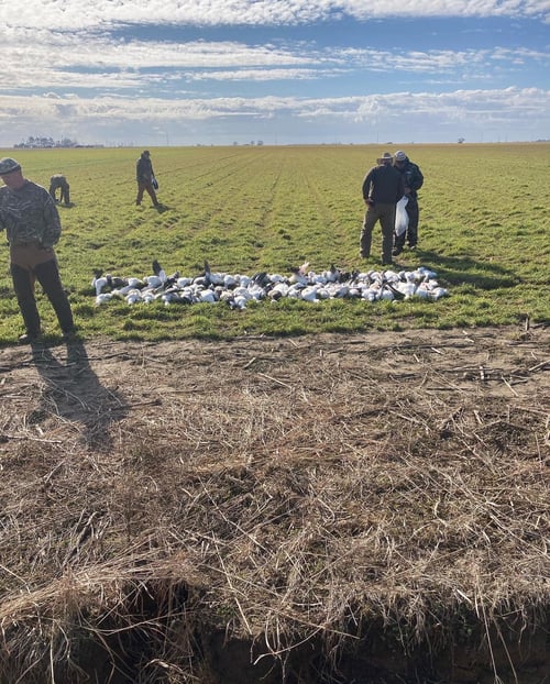 Goose w/ Lodging half day