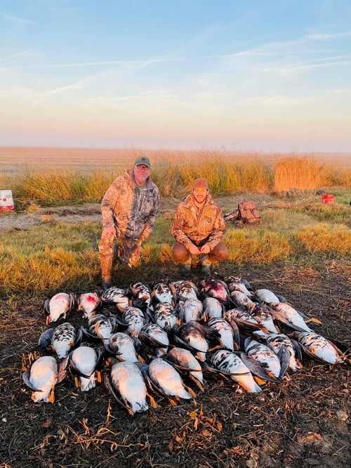 Duck and Goose w/ Lodging