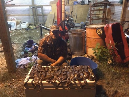 Louisiana Frogging