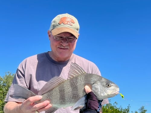 4-6 Hour Trip – Inshore