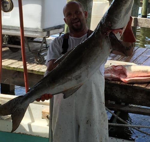 Nearshore Fishing experiences