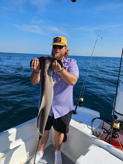 Shark Fishing Experience