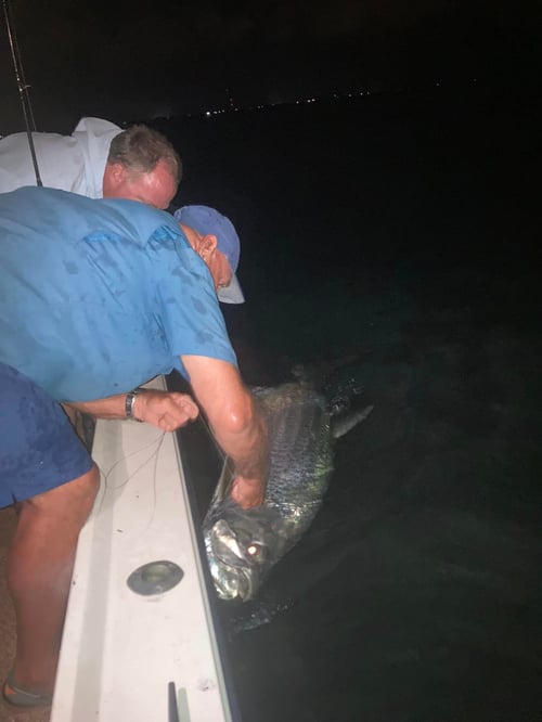 Tarpon Fishing in Little Torch Key, Florida