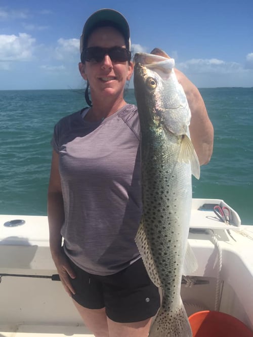 Speckled Trout Fishing in Little Torch Key, Florida