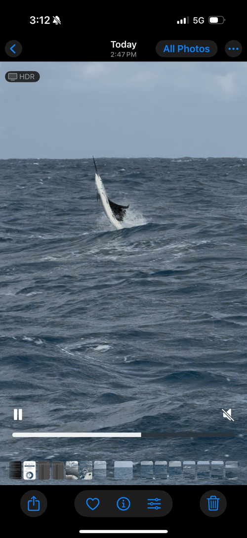 Luxury Trolling Trip