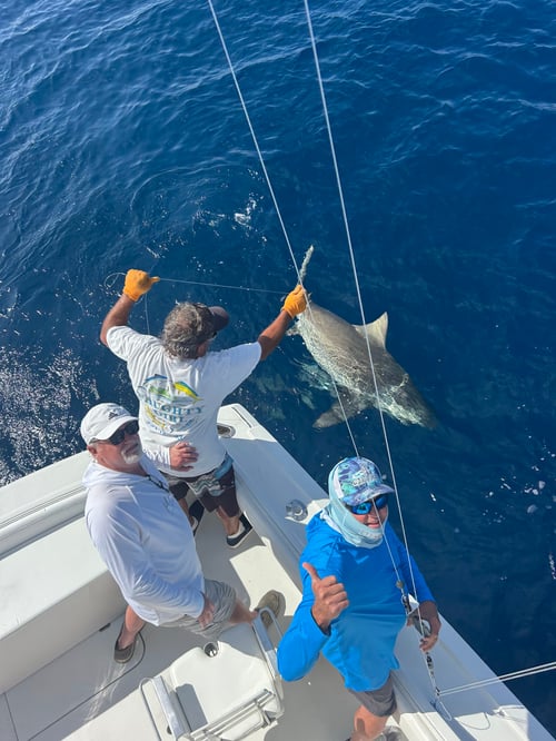 Luxury Trolling Trip
