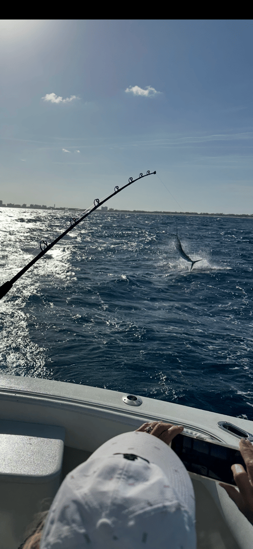 Luxury Trolling Trip