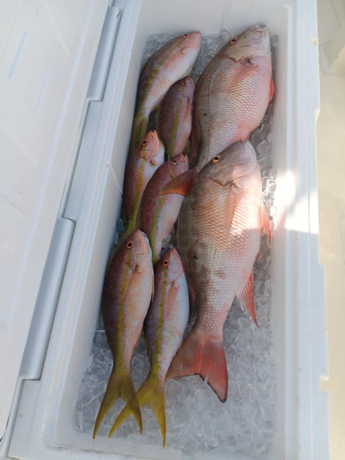 Luxury Trolling Trip