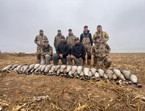 Texas Panhandle Goose Hunt