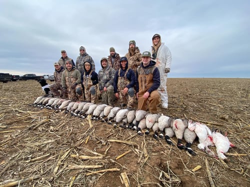 Texas Panhandle Goose Hunt