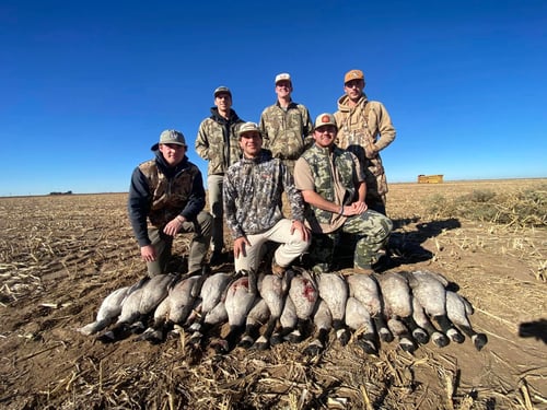 Texas Panhandle Goose Hunt