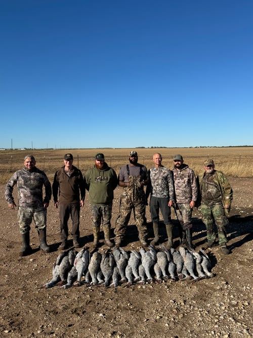 Premier Sandhill Crane Hunting