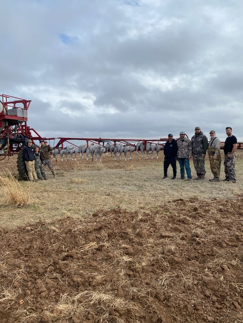 Premier Sandhill Crane hunting