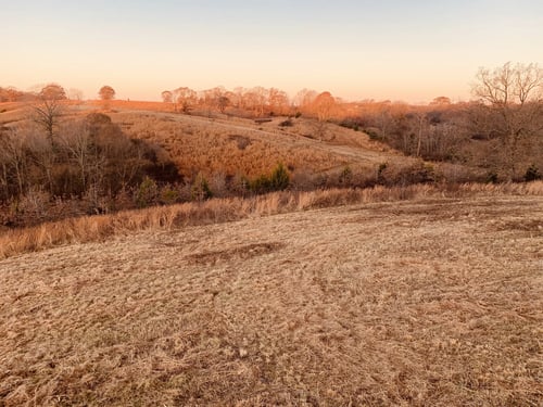 Turkey Hunt & Lodging (4 Nights)