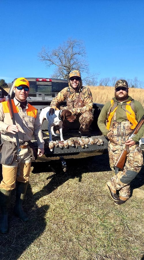 Upland Hunting