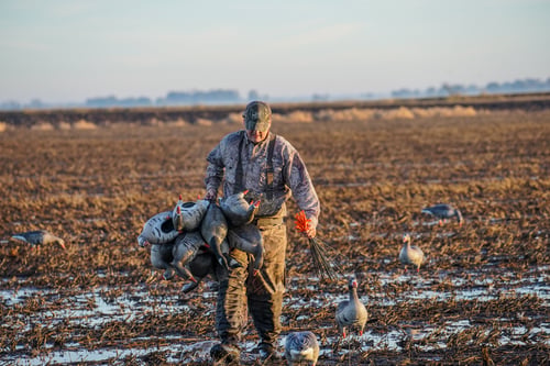 Goose Hunts