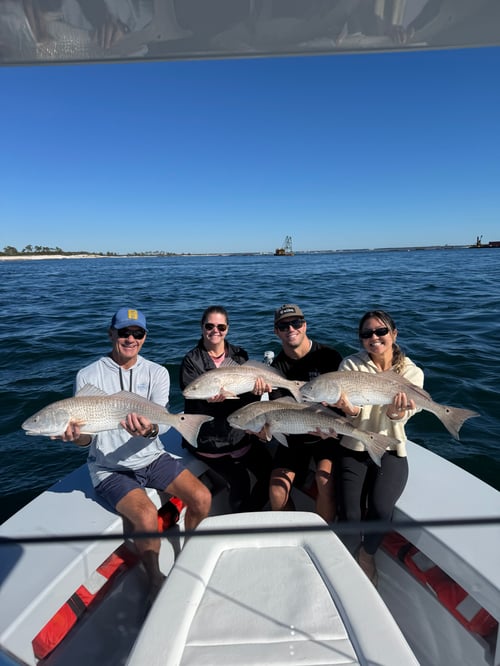 4 Hour Inshore Fishing