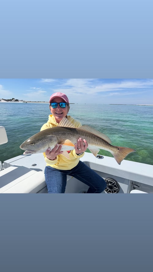 4 Hour Inshore Fishing