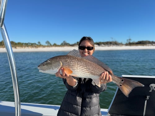 4 Hour Inshore Fishing