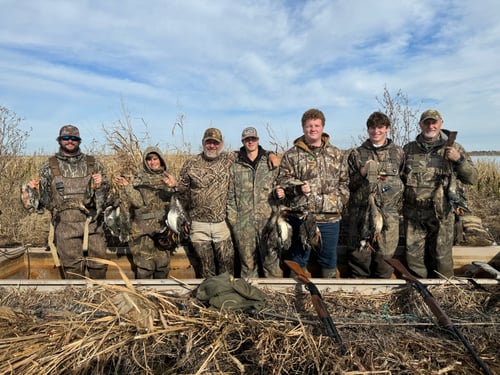 Morning Duck Hunts