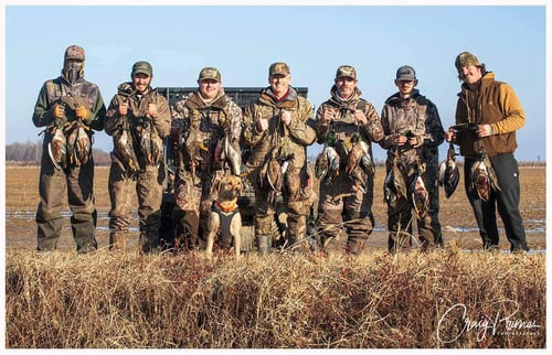 Morning Duck Hunts