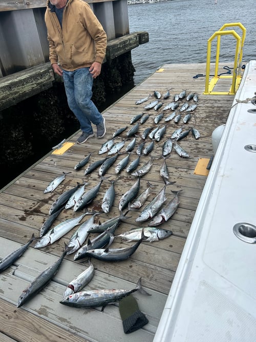 4 hour Nearshore Trip