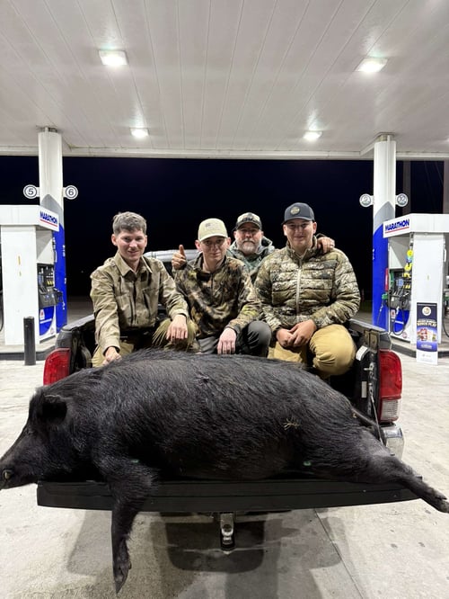 Thermal Hog Hunts