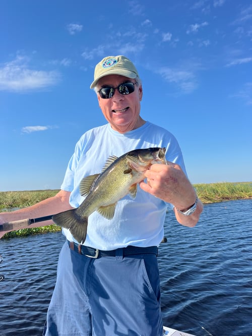 Lake Okeechobee Bass Fishing