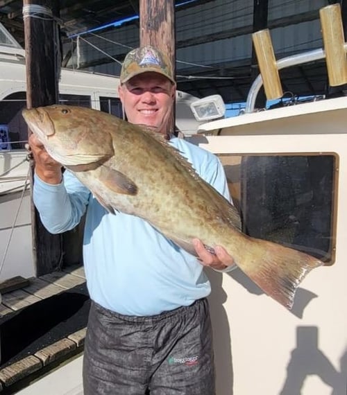 Gag Grouper 20-50 Miles Offshore