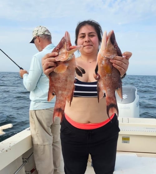 Gag Grouper 20-50 Miles Offshore