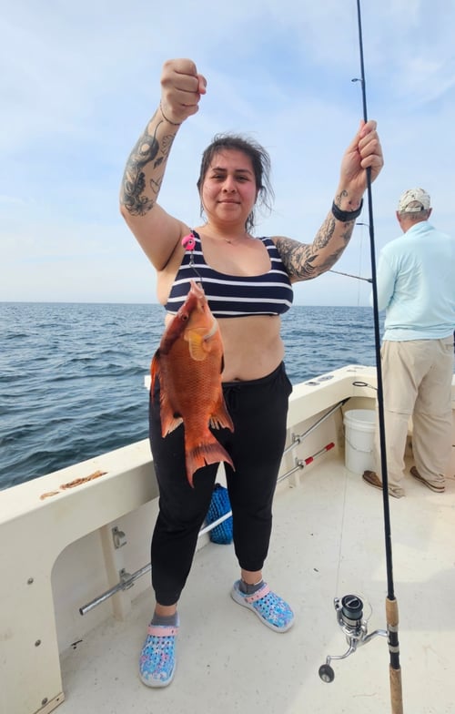 Gag Grouper 20-50 Miles Offshore