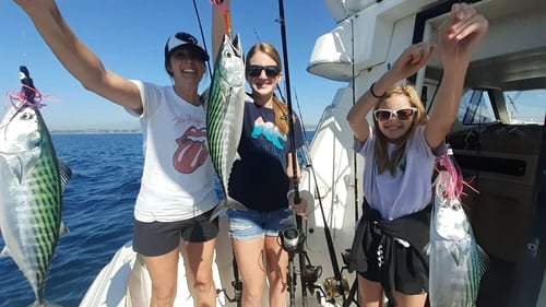 So-Cal Sportfishing or Sharking - 47'