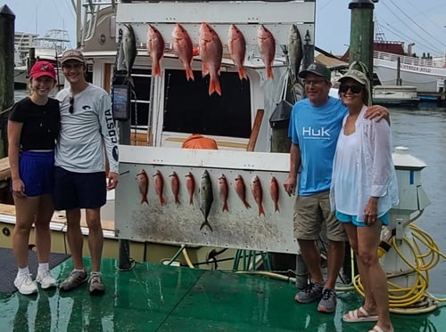 4 Hour Inshore Nearshore